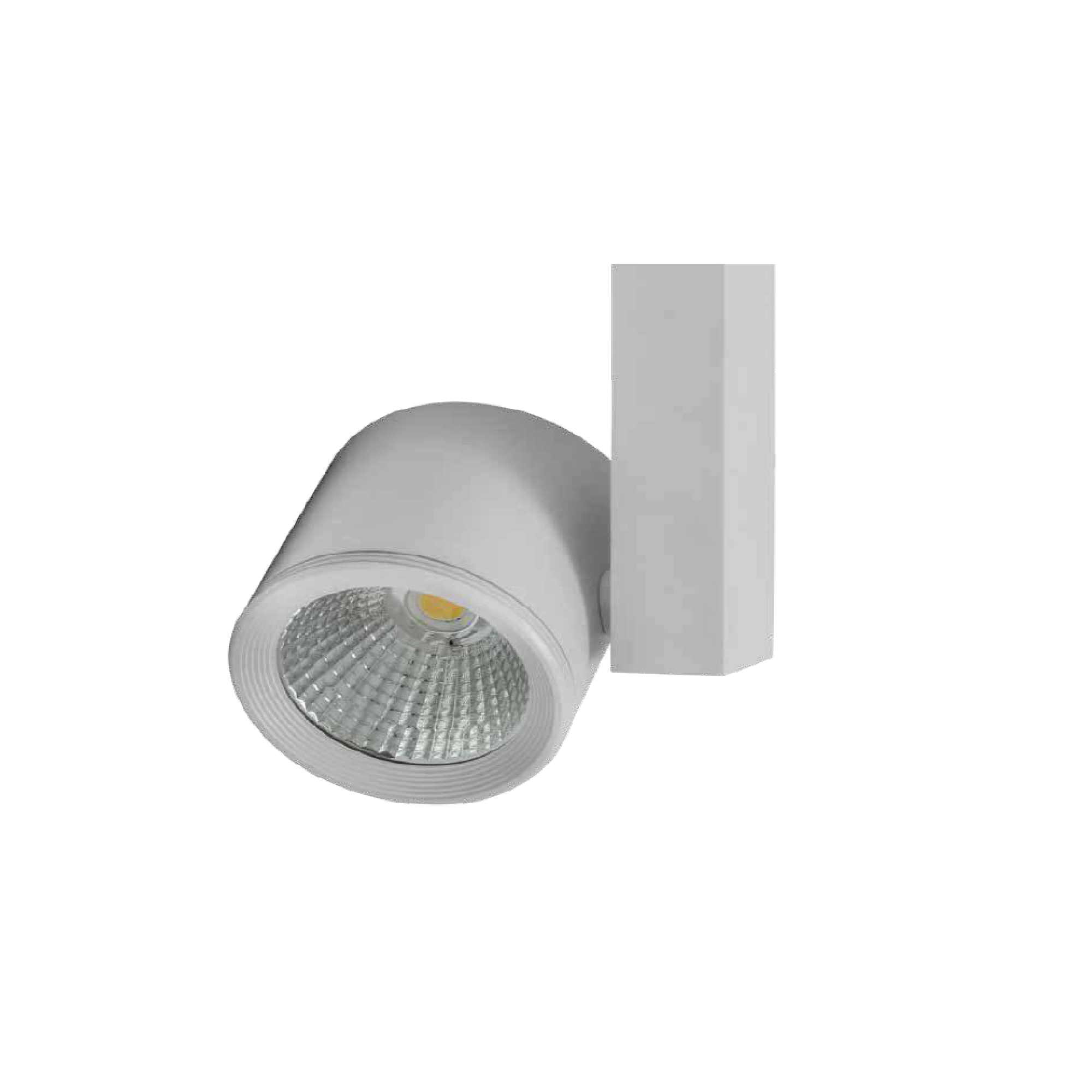 Foco LED de carril